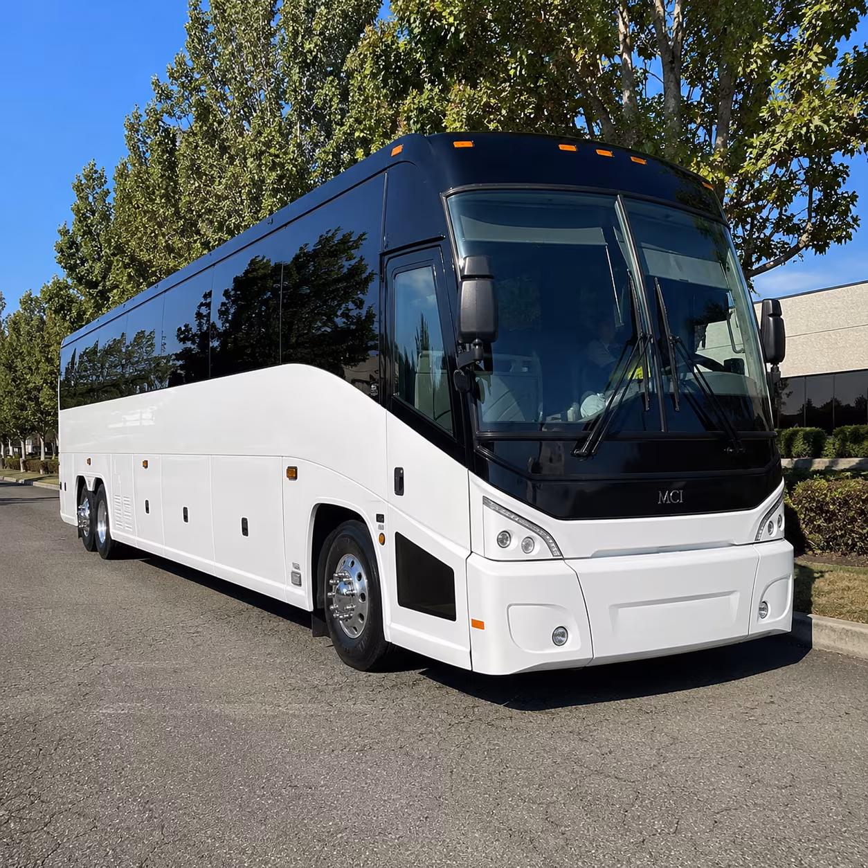 san antonio 50 passenger charter bus